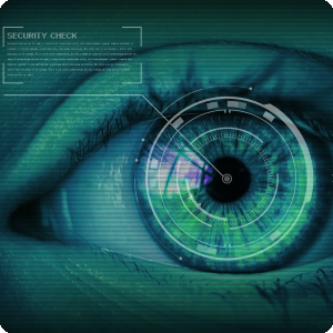 Network Security Check